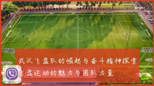 武汉飞盘队的崛起与奋斗精神探索飞盘运动的魅力与团队力量
