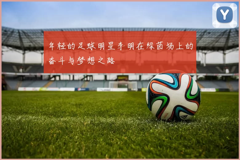 年轻的足球明星李明在绿茵场上的奋斗与梦想之路