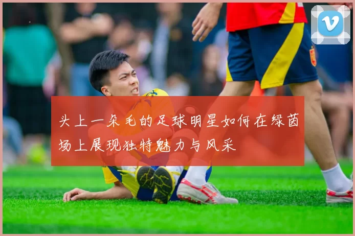 头上一朵毛的足球明星如何在绿茵场上展现独特魅力与风采