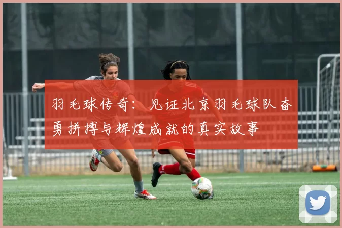 羽毛球传奇：见证北京羽毛球队奋勇拼搏与辉煌成就的真实故事