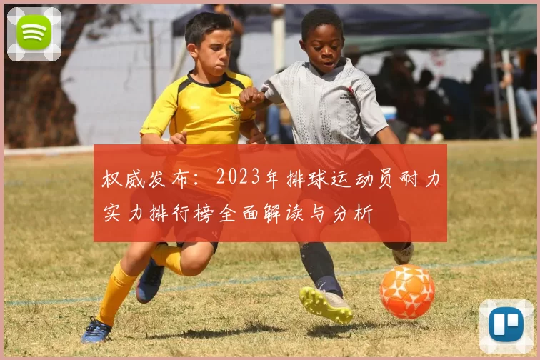 权威发布：2023年排球运动员耐力实力排行榜全面解读与分析