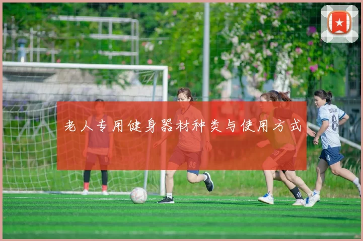老人专用健身器材种类与使用方式