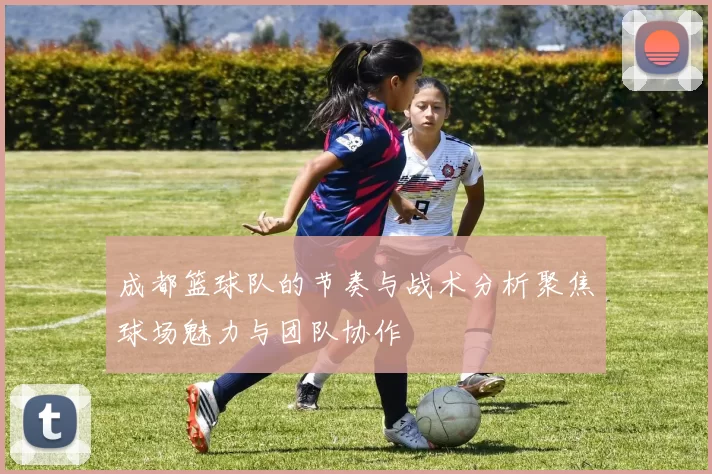 成都篮球队的节奏与战术分析聚焦球场魅力与团队协作