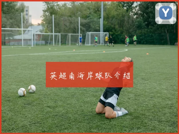 英超南海岸球队介绍