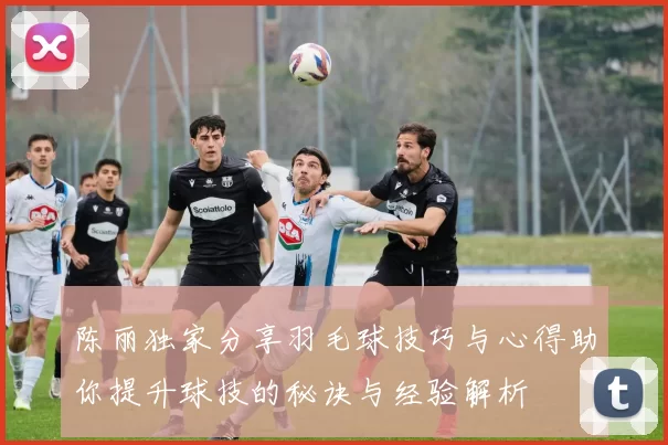 陈丽独家分享羽毛球技巧与心得助你提升球技的秘诀与经验解析
