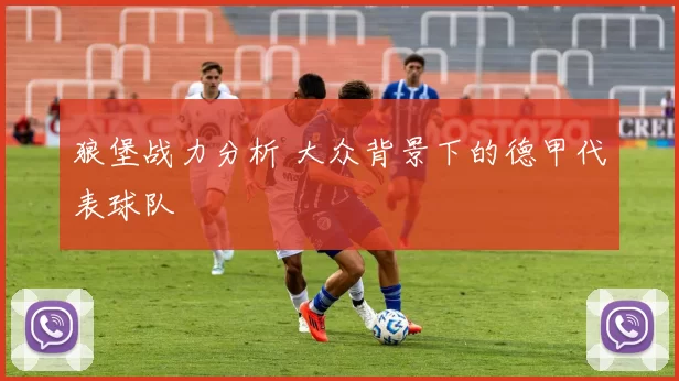狼堡战力分析 大众背景下的德甲代表球队