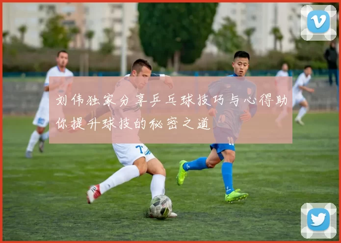刘伟独家分享乒乓球技巧与心得助你提升球技的秘密之道