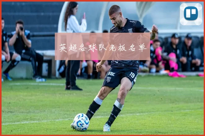 英超各球队老板名单