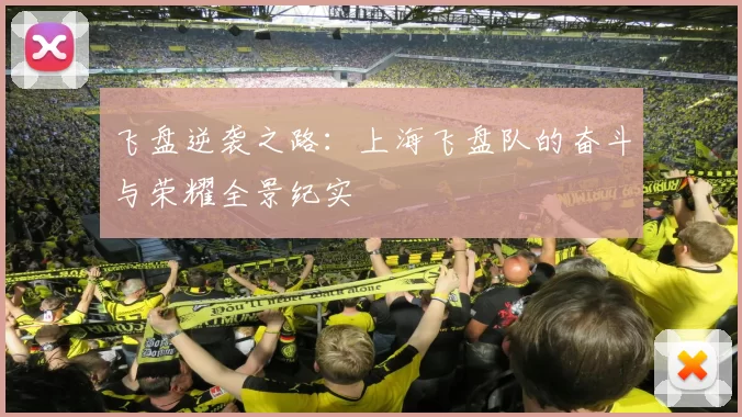 飞盘逆袭之路：上海飞盘队的奋斗与荣耀全景纪实